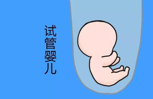 人工孕妈代怀助孕咨询怎么选